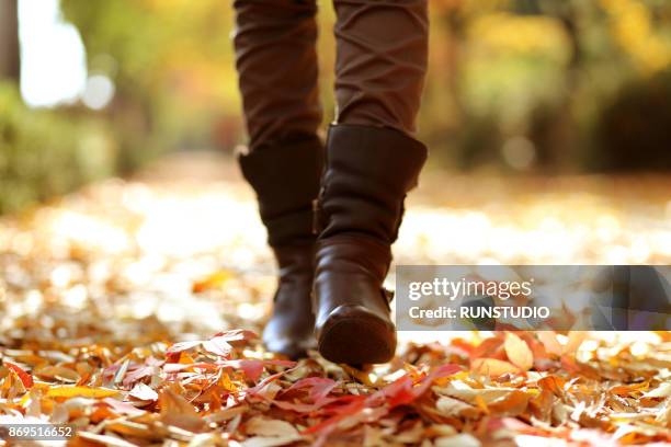 conceptual image of legs in boots on the autumn leaves. feet shoes walking in nature - low section woman stock pictures, royalty-free photos & images