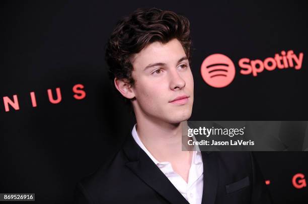 Singer Shawn Mendes attends Spotify's inaugural Secret Genius Awards at Vibiana Cathedral on November 1, 2017 in Los Angeles, California.