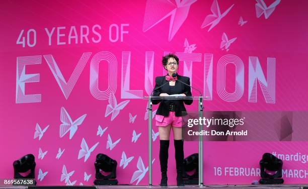 Mardi Gras Arts CEO Terese Casu addresses media during the Sydney Gay and Lesbian Mardi Gras 40th Anniversary Program Launch at Sydney Opera House on...