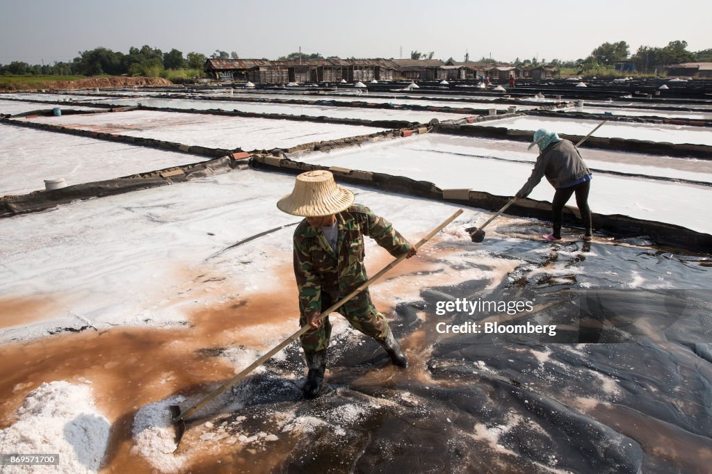 Salt Production at the Khok Saath Iodized Salt Factory Factory