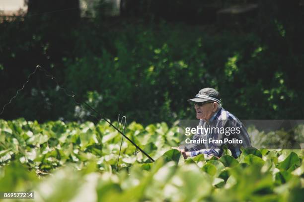 a retired senior man fishing. - baldwin brothers stock pictures, royalty-free photos & images