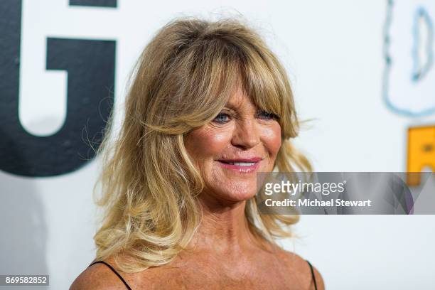 Goldie Hawn attends the 2017 Samsung Charity Gala at Skylight Clarkson Sq on November 2, 2017 in New York City.