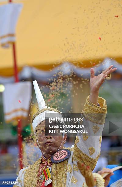 Ceremonial chief throws rice on May 11, 2009 during the annual 'Royal Ploughing Ceremony' at Sanam Luang in Bangkok. Local press have reported that...