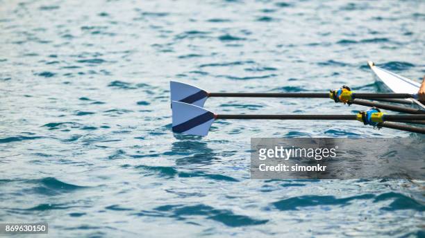 oars in lake - sweep rowing stock pictures, royalty-free photos & images