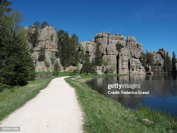 sylvan lake, custer state park, south dakota - black hills national forest bildbanksfoton och bilder