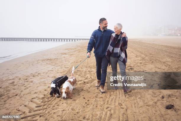 winter breaks - middle age man and walking the dog stock pictures, royalty-free photos & images