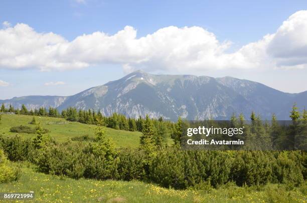 Rax Photos and Premium High Res Pictures - Getty Images