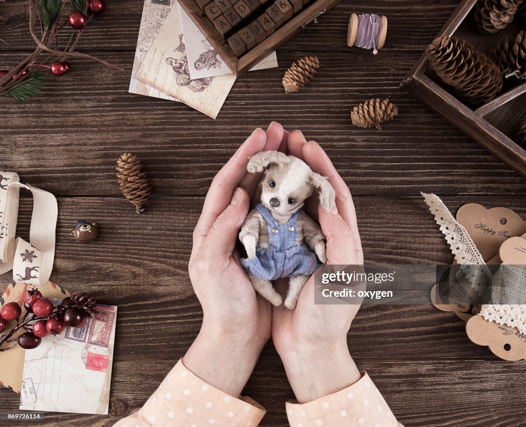 Female holding small toy dog on dark wooden table