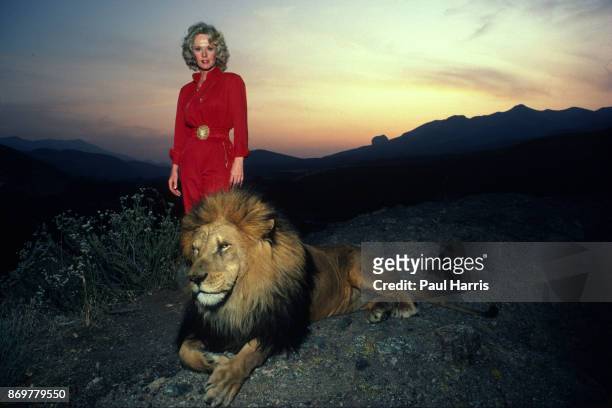 Actress Tipi Hedren, mother of Melanie Griffiths stands on a hill overlooking her Saugus Animal reserve with a full grown male lion. November 16,...