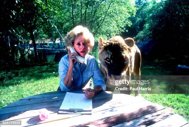 Actress Tipi Hedren, mother of Melanie Griffiths talks on a cell phone at her Saugus Animal reserve with a full grown female lion. November 16, 1983...