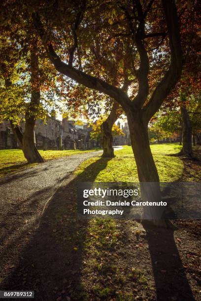 greyfriars shadows - daniele carotenuto stock pictures, royalty-free photos & images