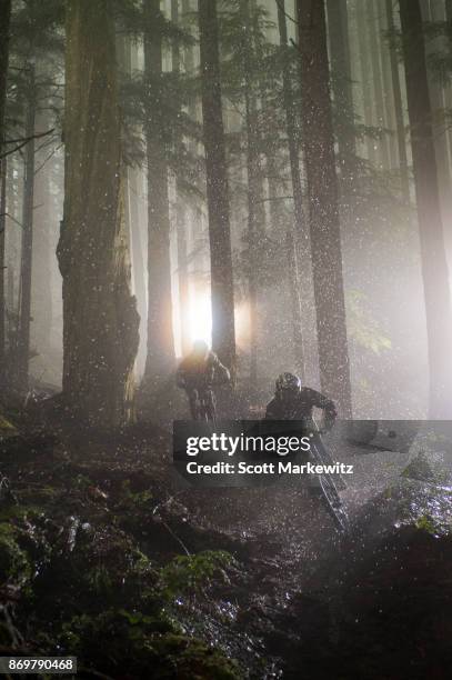 two men mountain biking in the rain through a forest of trees - gibsons bc stock pictures, royalty-free photos & images