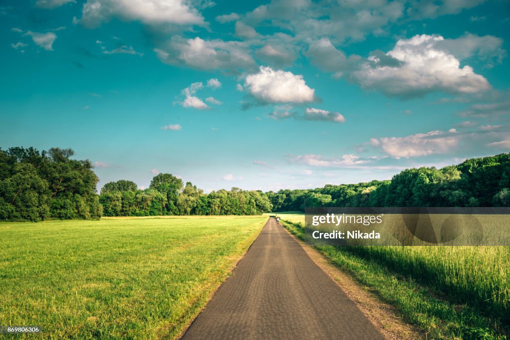 Pista ciclabile lungo prato circondato da foresta