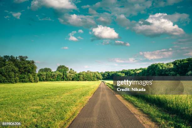 fiets rijstrook langs weide die omgeven is door bossen - landweg stockfoto's en -beelden