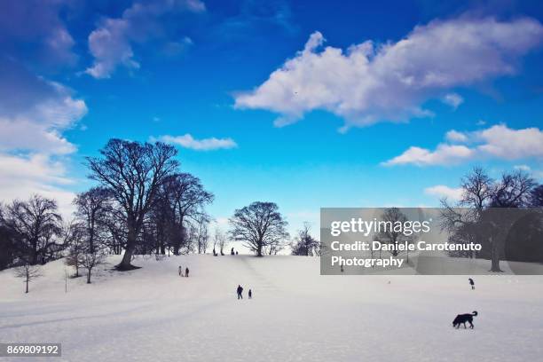 a day at the park with snow - daniele carotenuto stock-fotos und bilder