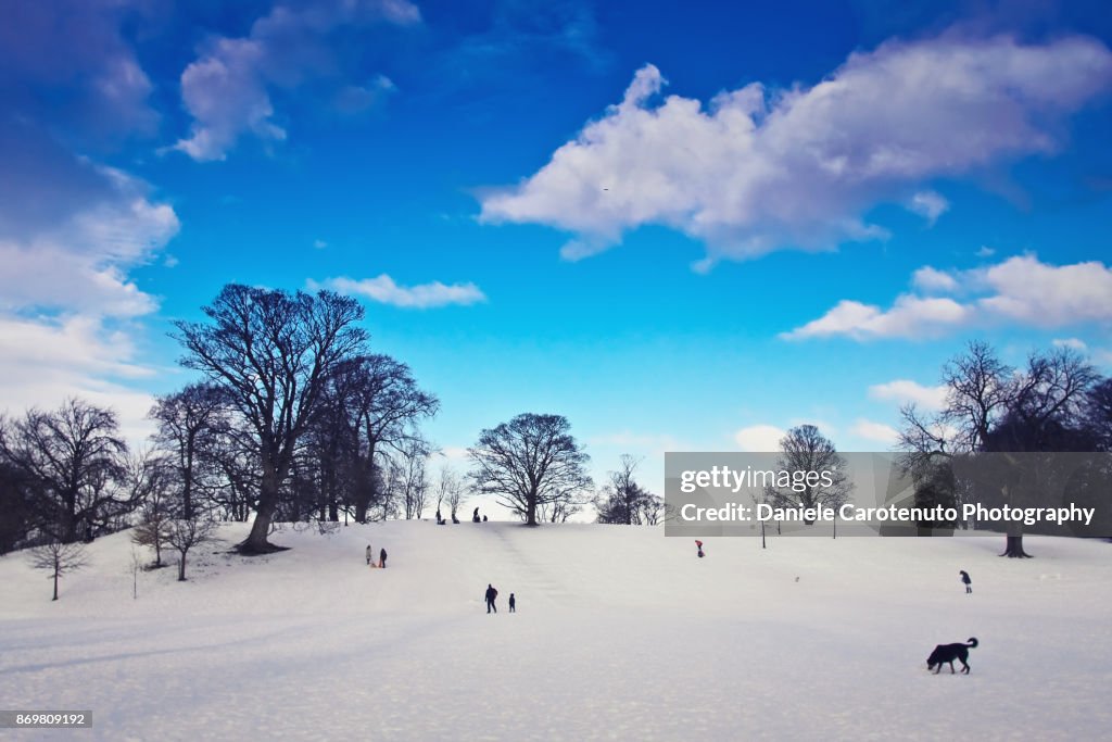 A day at the park with snow