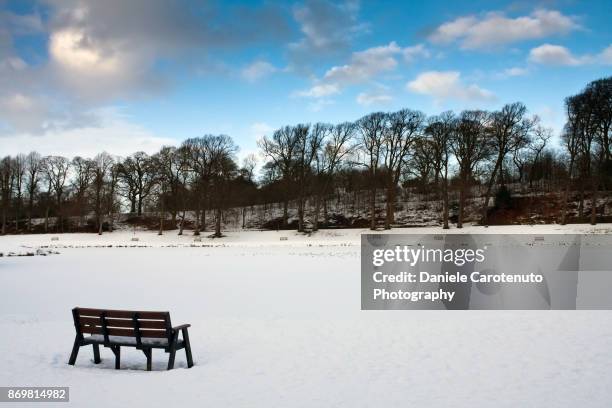 bench alone - daniele carotenuto stock pictures, royalty-free photos & images