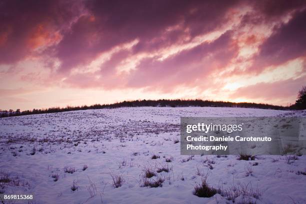 red snow sky at sunset - daniele carotenuto 個照片及圖片��檔