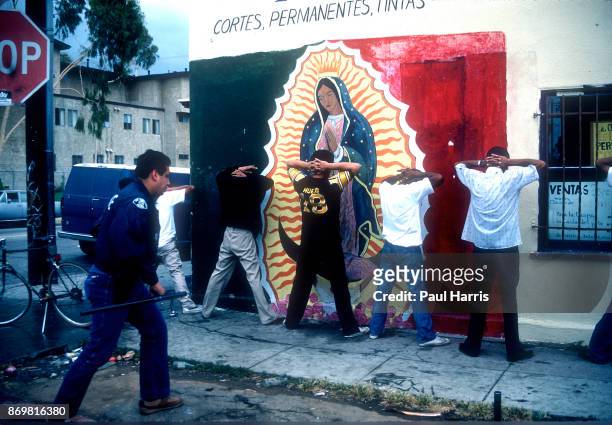 Gang members get arrested during an LAPD police sweep, a search turned up weapons and drugs. October 16, 1984 Compton, South Central Los Angeles.,...