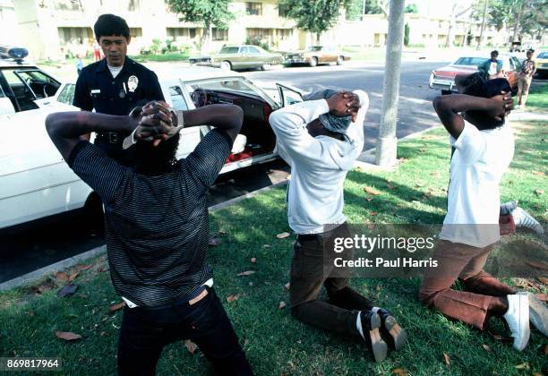 Crip" dressed in blue showing the Gang colors is arrested by the Los Angeles Police Department anti gang unit with two friends after stealing a...