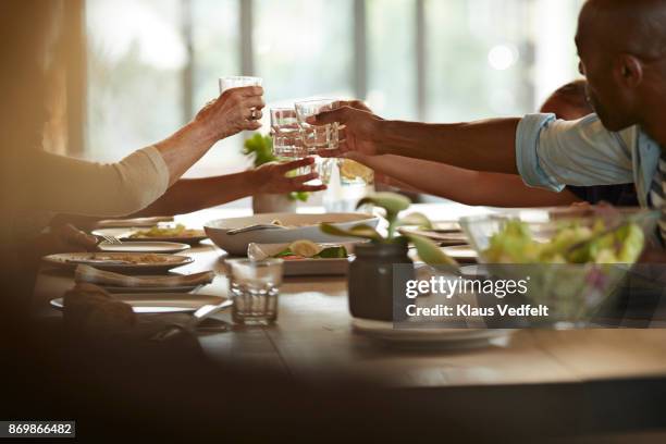 multigenerational family having weekend lunch and toasting - salat im glas stock-fotos und bilder
