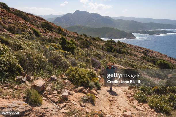 capo rosso landscape - corsica bildbanksfoton och bilder