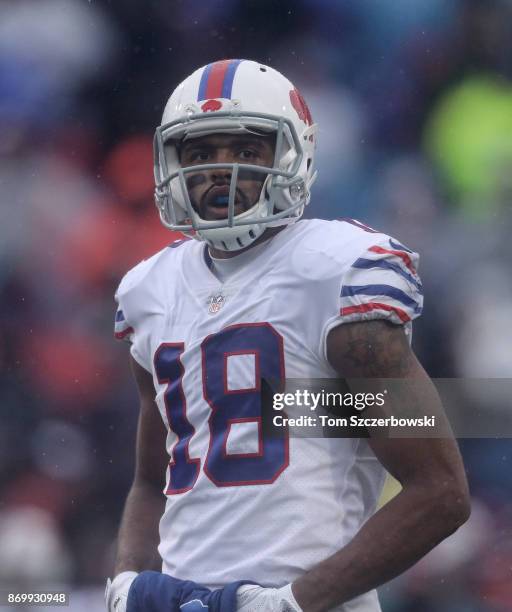 Andre Holmes of the Buffalo Bills looks on during NFL game action against the Oakland Raiders at New Era Field on October 29, 2017 in Buffalo, New...