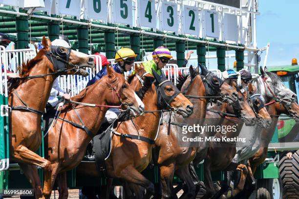 The field jumps from the barriers in the Lexus Stakes at Flemington Racecourse on November 04, 2017 in Flemington, Australia.