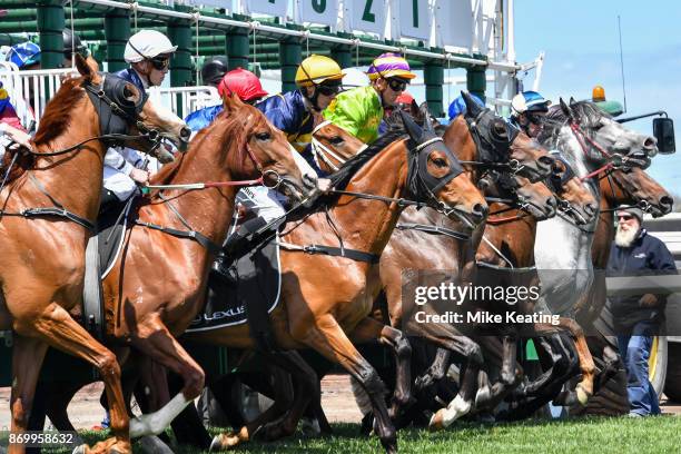 The field jumps from the barriers in the Lexus Stakes at Flemington Racecourse on November 04, 2017 in Flemington, Australia.