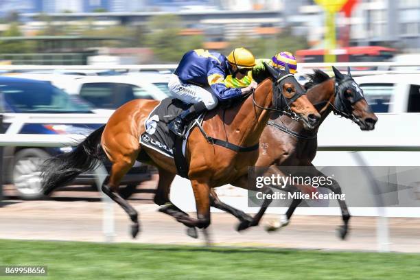 Cismontane ridden by Stephen Baster wins the Lexus Stakes at Flemington Racecourse on November 04, 2017 in Flemington, Australia.