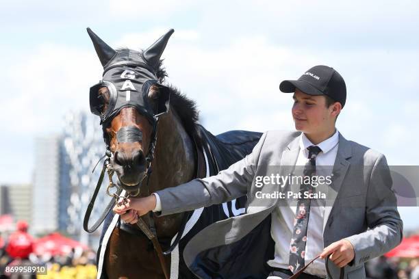 Cismontane with strapper Henry Jaggard after winning the Lexus Stakes at Flemington Racecourse on November 04, 2017 in Flemington, Australia.