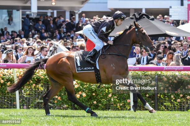 Ecuador ridden by Adam Hyeronimus heads to the barrier before the Lexus Stakes at Flemington Racecourse on November 04, 2017 in Flemington, Australia.