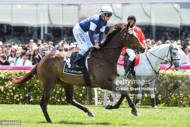 Aloft ridden by Ben Melham heads to the barrier before the Lexus Stakes at Flemington Racecourse on November 04, 2017 in Flemington, Australia.