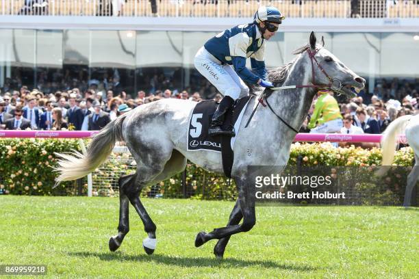 Guardini ridden by James Winks heads to the barrier before the Lexus Stakes at Flemington Racecourse on November 04, 2017 in Flemington, Australia.