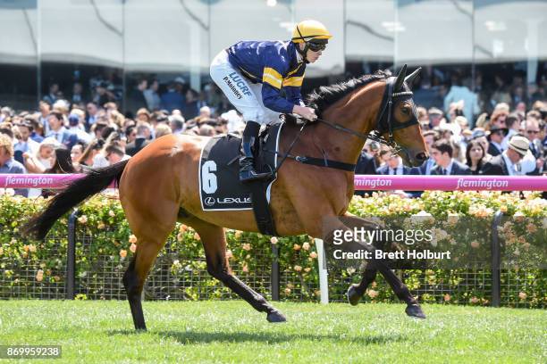 Vengeur Masque ridden by Patrick Moloney heads to the barrier before the Lexus Stakes at Flemington Racecourse on November 04, 2017 in Flemington,...