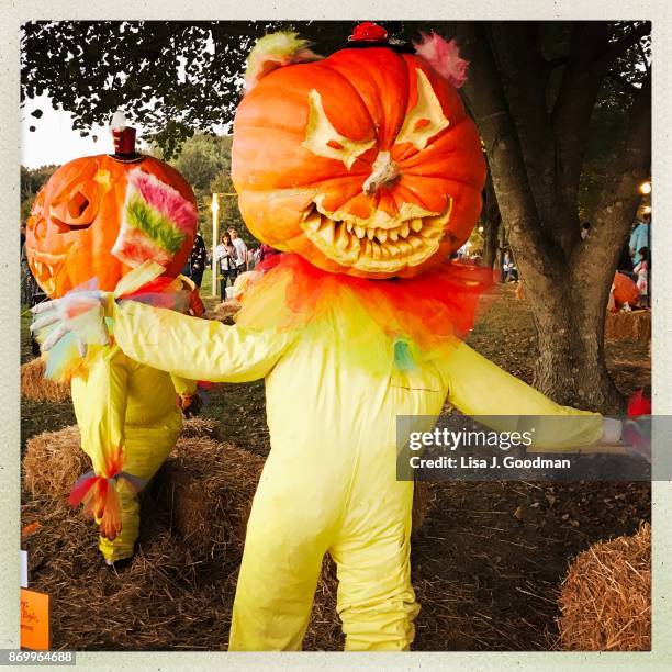 hand carved pumpkin person for halloween - scarecrow faces foto e immagini stock