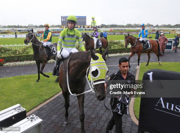 Kathy O'Hara on Black on Gold returns to scale after winning during Sydney Racing at Rosehill Gardens on November 4, 2017 in Sydney, Australia.