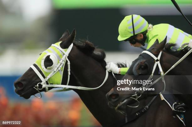 Kathy O'Hara on Black on Gold wins race 4 , during Sydney Racing at Rosehill Gardens on November 4, 2017 in Sydney, Australia.