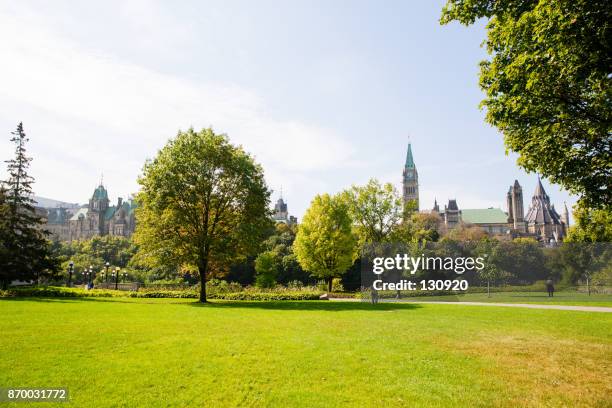 sunny day in the park - beschermd natuurgebied stockfoto's en -beelden