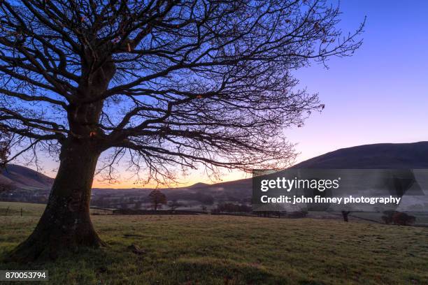 dawn light across st john's in the vale, lake district uk. - langdale pikes stock pictures, royalty-free photos & images