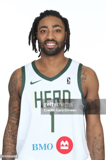 James Young of the Wisconsin Herd poses for a head shot during the NBA G-League media day at the Oshkosh Convention Center on November 3, 2017 in...