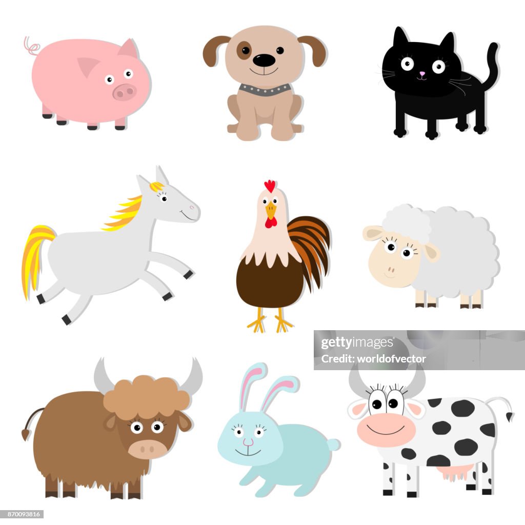 Farm Animal Set Pig Cat Cow Dog Rabbit Ship Horse Rooster Bull Baby  Collection Flat Design Style Isolated White Background High-Res Vector  Graphic - Getty Images