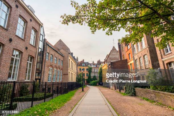 charming "rue des weppes" (weppes street) in the old town of the city of lille, north of france - lille foto e immagini stock