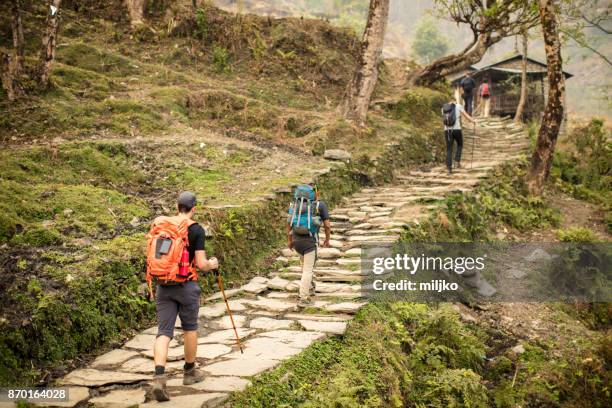 young man hiking through the rainforest - annapurna conservation area stock pictures, royalty-free photos & images