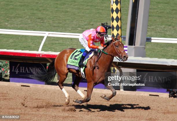 Caledonia Road with Mike Smith up wins the Breeders Cup Juvenile Fillies at Del Mar Race Track on November 4, 2017 in Del Mar, California