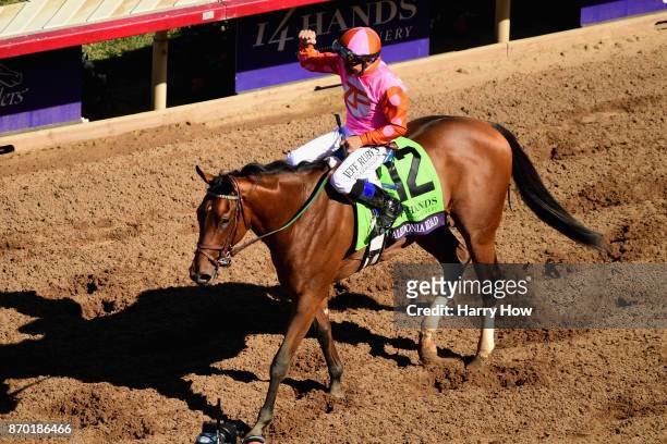 Jockey Mike Smith celebrates after riding Caledonia Road to a win in the 14 Hands Winery Breeders' Cup Juvenile Fillies race on day two of the 2017...