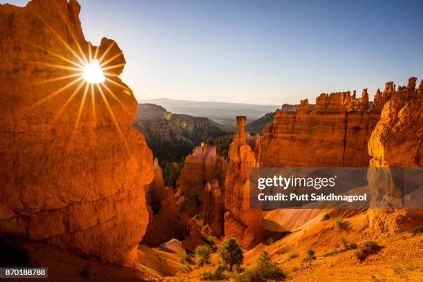 sunrise over thor's hammer hoodoo at bryce canyon national park - bryce canyon photos et images de collection