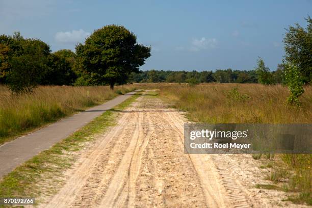 sandy track and cycling path in dutch heathland reserve kampina - bicycle lane stock pictures, royalty-free photos & images