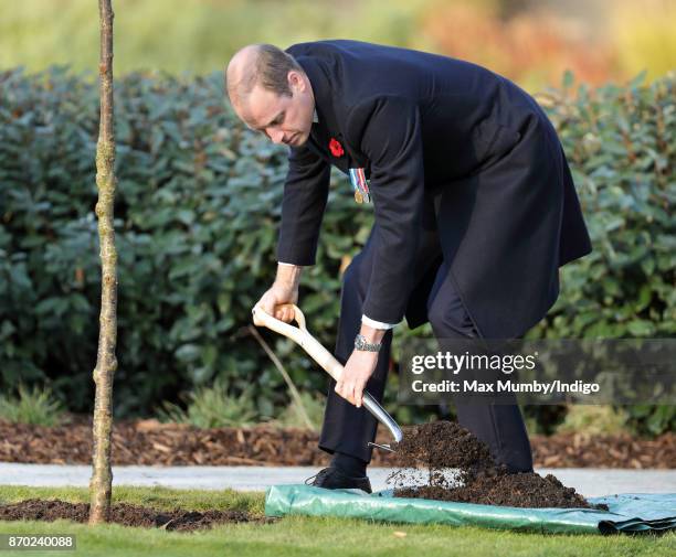 Prince William, Duke of Cambridge plants a tree as he attends the Metropolitan Police Service Passing Out Parade for new recruits at the Metropolitan...