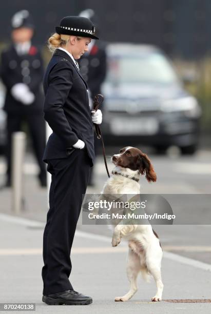 Max' a Springer Spaniel police dog jumps up and paws at his handler PC Norgrove during the Metropolitan Police Service Passing Out Parade for new...